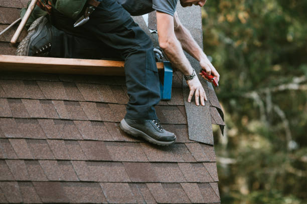 Roof Gutter Cleaning in Tahlequah, OK